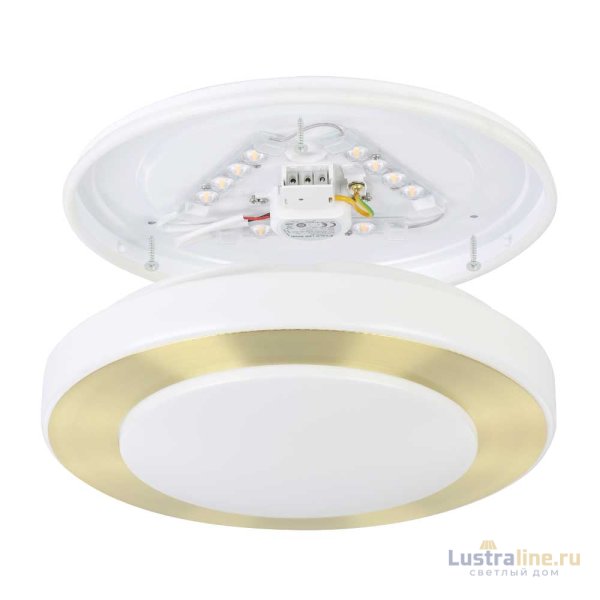 Потолочный светильник Eglo Led Carpi 900369