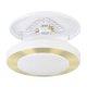 Потолочный светильник Eglo Led Carpi 900369