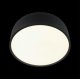 Потолочный светильник Loft IT Axel 10201/350 Black