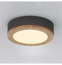Потолочный светильник ImperiumLoft Wudda 179761-26