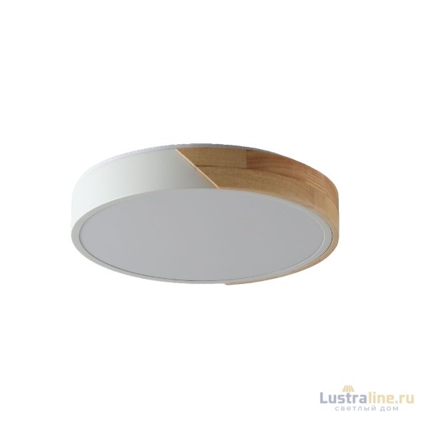 Потолочный светильник Zortes Alberro ZRS.01239.90 Потолочный светильник Zortes Alberro ZRS.01239.90