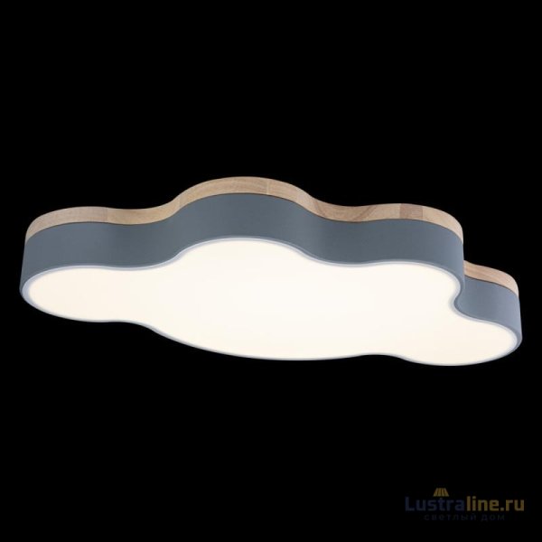 Потолочный светильник Loft IT AXEL 10005/36 Grey Потолочный светильник Loft IT AXEL 10005/36 Grey