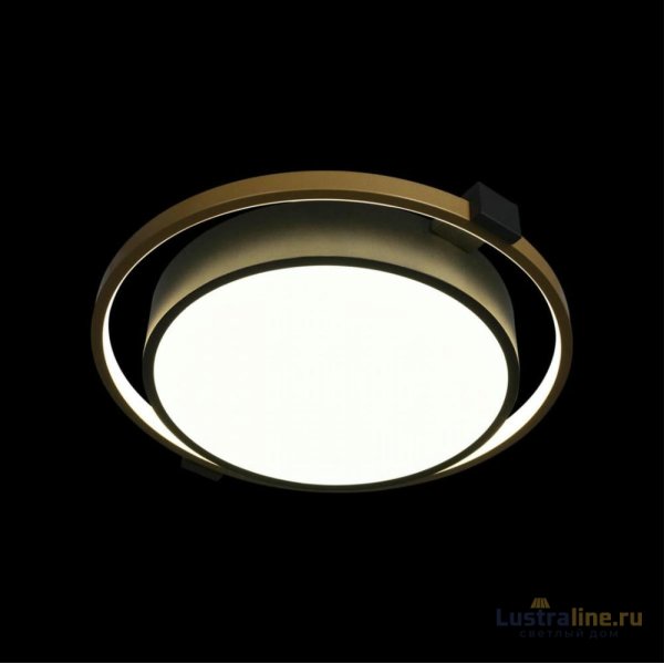 Потолочный светильник Loft IT Mike 10169