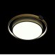 Потолочный светильник Loft IT Mike 10169