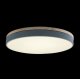Потолочный светильник Loft IT AXEL 10001/36 Grey