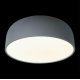Потолочный светильник Loft IT Axel 10201/480 Grey