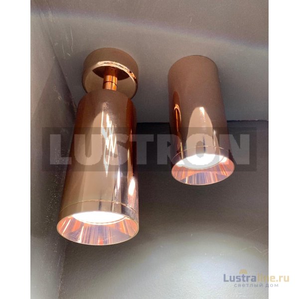 Потолочный светильник Maytoni Alfa C010CL-01RG Потолочный светильник Maytoni Alfa C010CL-01RG