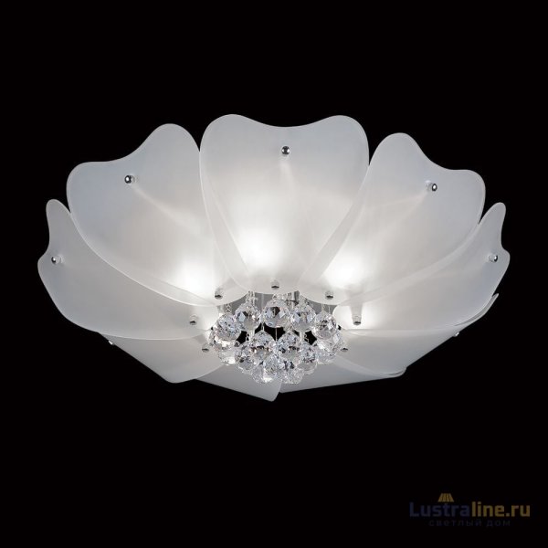 Потолочный светильник Lightstar Lobo 804020
