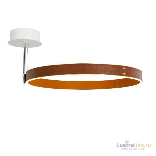 Потолочный светильник DeLight Collection MX18001059-1M coffee/black Потолочный светильник DeLight Collection MX18001059-1M coffee/black