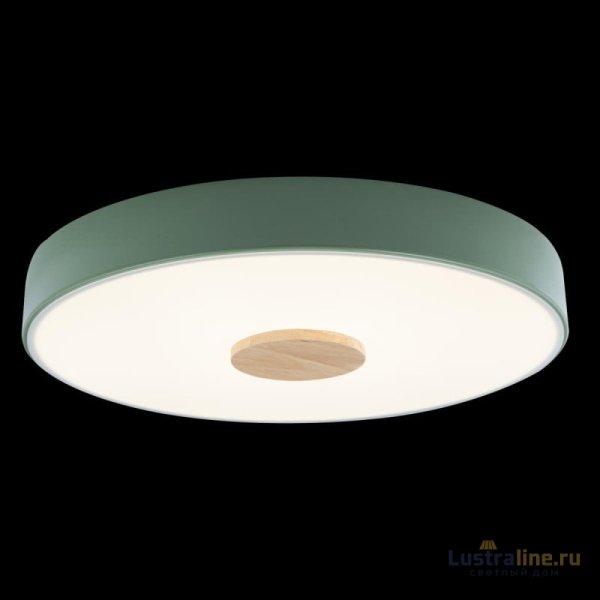Потолочный светильник Loft IT AXEL 10003/24 Green Потолочный светильник Loft IT AXEL 10003/24 Green