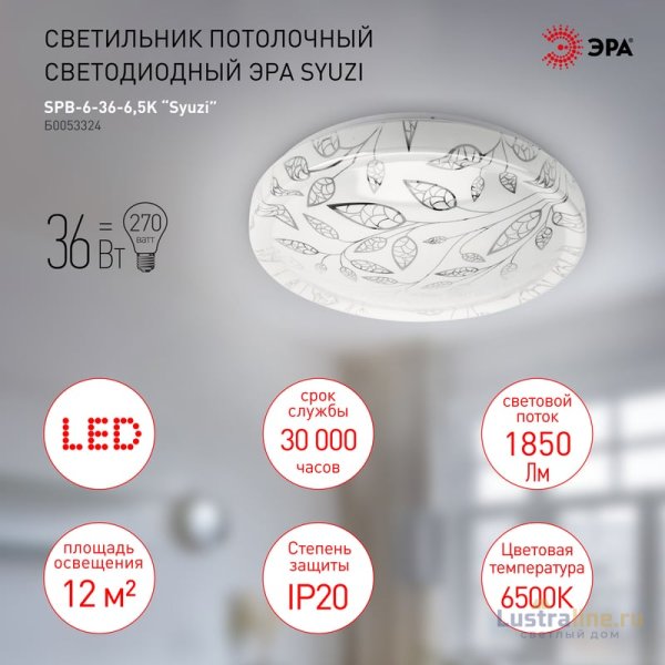 Потолочный светильник Эра SPB-6-36-6,5K Syuzi Б0053324