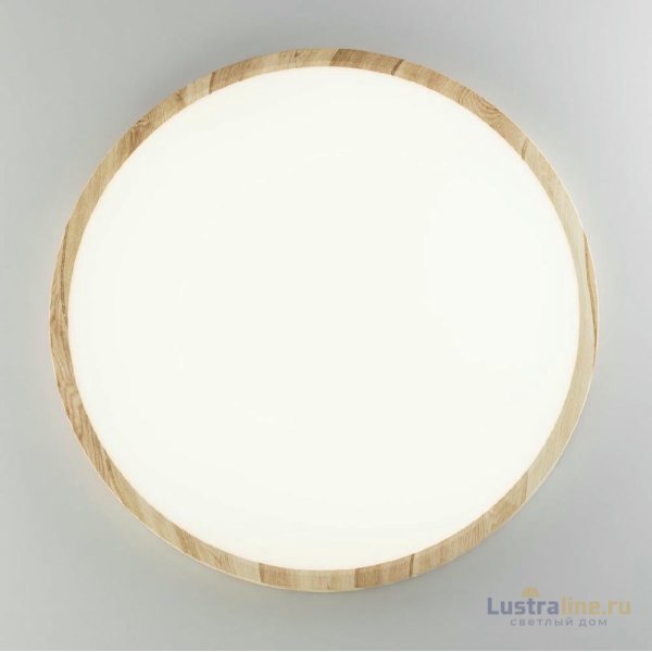 Потолочный светильник Citilux Бейсик CL738322V