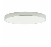 Потолочный светильник Zortes Tortty ZRS.02565.96 Потолочный светильник Zortes Tortty ZRS.02565.96