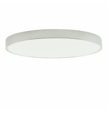 Потолочный светильник Zortes Tortty ZRS.02565.96