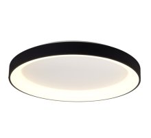 Потолочный светильник Mantra Niseko 8580