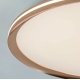 Потолочный светильник LED4U L3020-600 GD