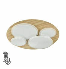 Потолочный светильник Sonex Pine 7734/60L