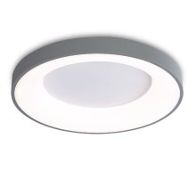 Потолочный светильник Ambrella Light Orbital Design FZ1402