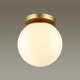 Потолочный светильник Odeon Light 4247/1C