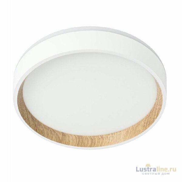 Потолочный светильник Citilux Etalon CL750180