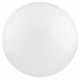 Потолочный светильник Эра Relict 22 SPB-6-20 4К WH Б0059507