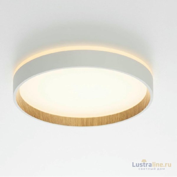 Потолочный светильник Citilux Etalon CL750240