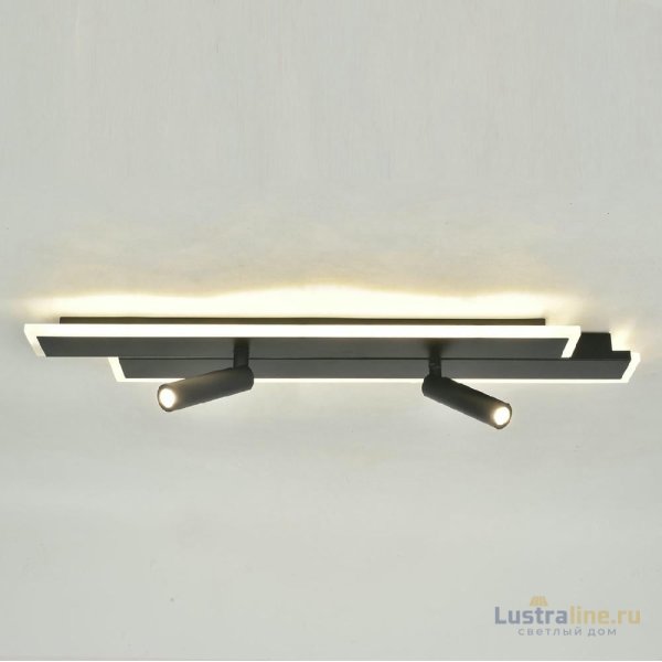 Потолочный светильник Escada 20047led 20047SMA/02LED BK Потолочный светильник Escada 20047led 20047SMA/02LED BK