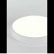 Потолочный светильник Natali Kovaltseva LED LAMPS 81112/5C