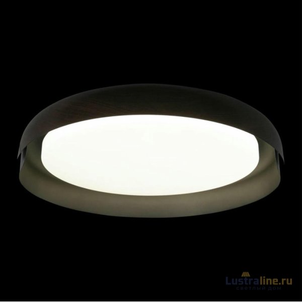 Потолочный светильник Loft IT Coin 10198 Black Потолочный светильник Loft IT Coin 10198 Black