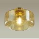 Потолочный светильник Odeon Light BINGA 4747/1C