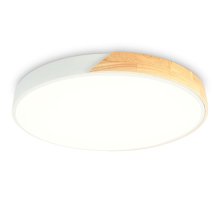 Потолочный светильник Ambrella Light Orbital Design FZ1301