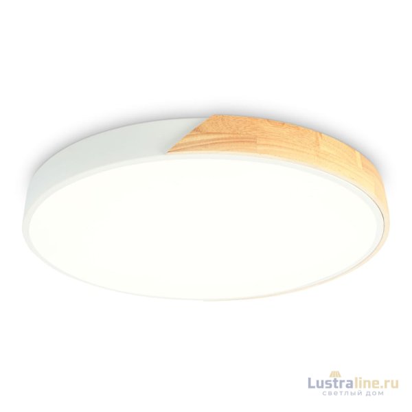 Потолочный светильник Ambrella Light Orbital Design FZ1301 Потолочный светильник Ambrella Light Orbital Design FZ1301