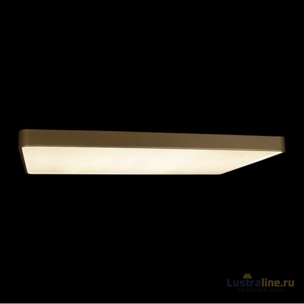 Потолочный светильник Loft IT Flims 10228/E