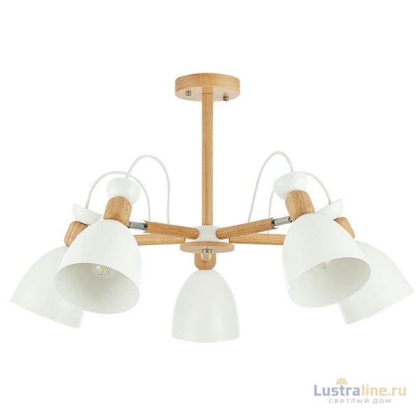 Потолочный светильник EVOLUCE BALCAMO SLE103802-05