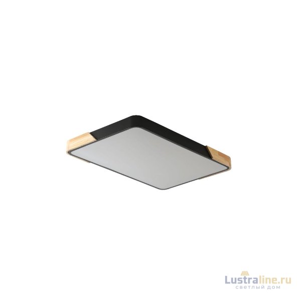 Потолочный светильник Zortes Alberro ZRS.01244.60 Потолочный светильник Zortes Alberro ZRS.01244.60
