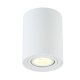 Потолочный светильник Crystal Lux CLT 410C1 WH