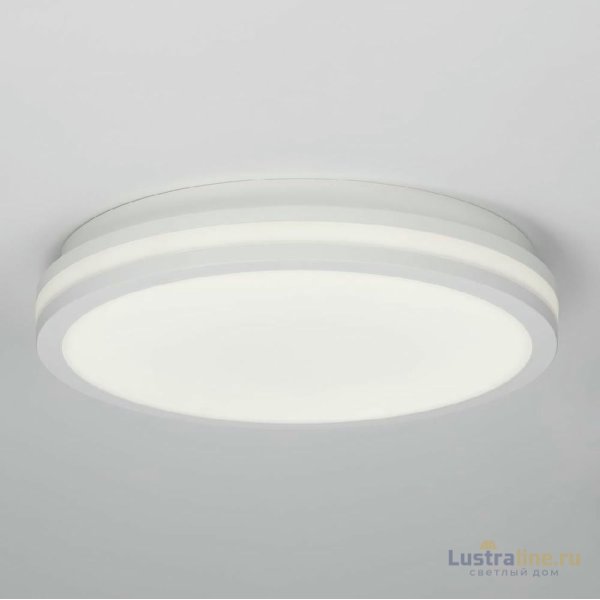 Потолочный светильник Citilux Luns CL711020V