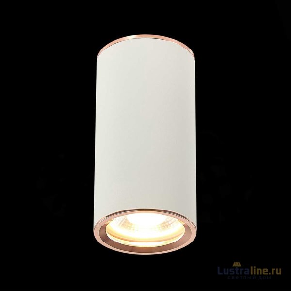 Потолочный светильник ST Luce Chomus ST111.527.01