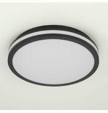 Потолочный светильник Citilux Luns CL711021V