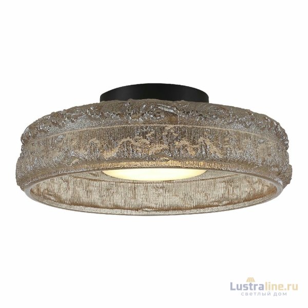 Потолочный светильник ST Luce Antike SL6143.422.01