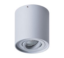 Потолочный светильник Arte Lamp Falcon A5645PL-1GY