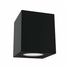 Потолочный светильник Maytoni Alfa C013CL-01B