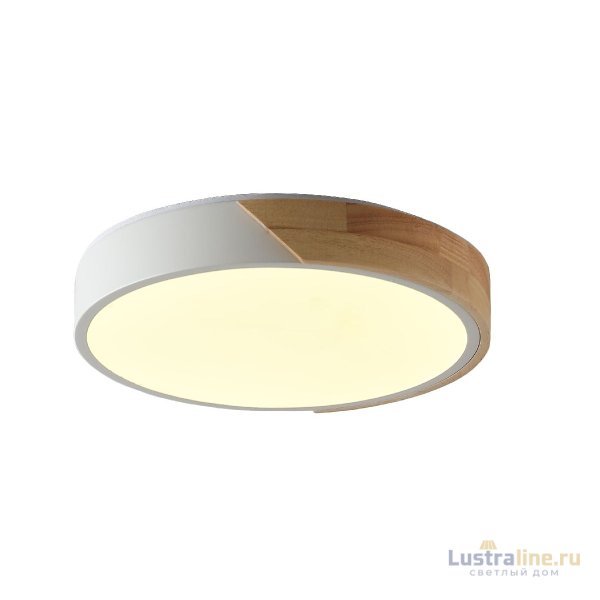 Потолочный светильник Zortes Alberro ZRS.01289.24 Потолочный светильник Zortes Alberro ZRS.01289.24