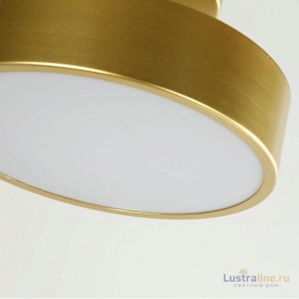 Потолочный светильник F-Promo Atma 3059-2P Потолочный светильник F-Promo Atma 3059-2P