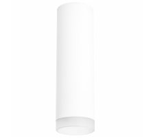 Потолочный светильник Lightstar RULLO R649680 (216496+202480)