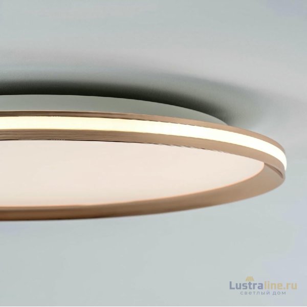 Потолочный светильник LED4U L3020-500 GD Потолочный светильник LED4U L3020-500 GD