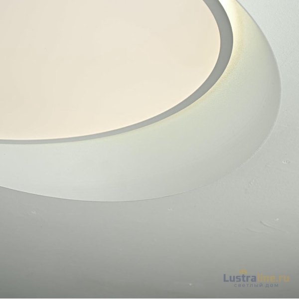 Потолочный светильник ImperiumLoft Shell 102036-26 Потолочный светильник ImperiumLoft Shell 102036-26