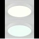 Потолочный светильник Natali Kovaltseva LED LAMPS 81111/5C