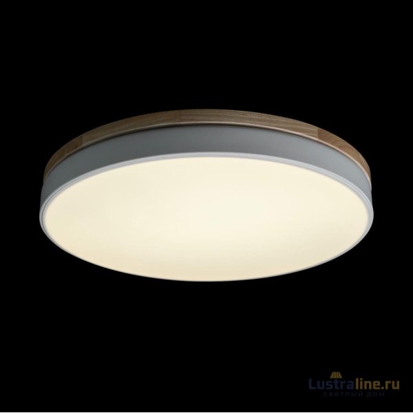 Потолочный светильник Loft IT AXEL 10001/36 White Потолочный светильник Loft IT AXEL 10001/36 White