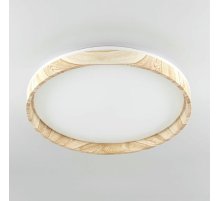 Потолочный светильник Citilux Enzo CL753452G